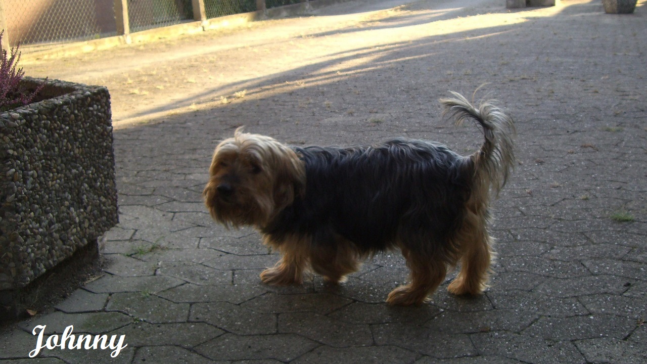 04.05.2003 - 13.07.2018 04.05.2003 - 13.07.2018