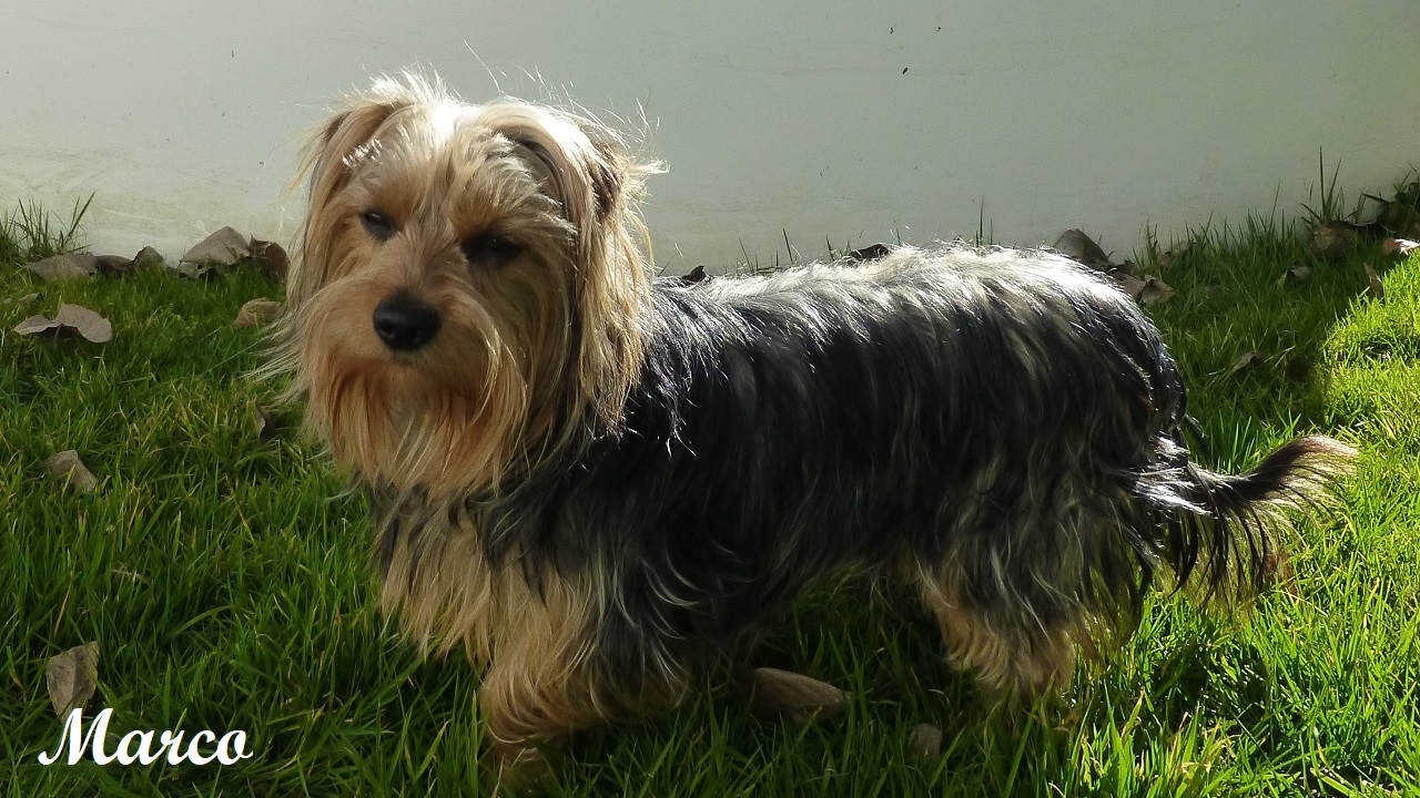 01.05.2018 - 28.03.2024 01.05.2018 - 28.03.2024